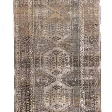 Moroccan 10237354