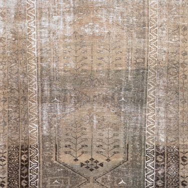 Moroccan 10237354