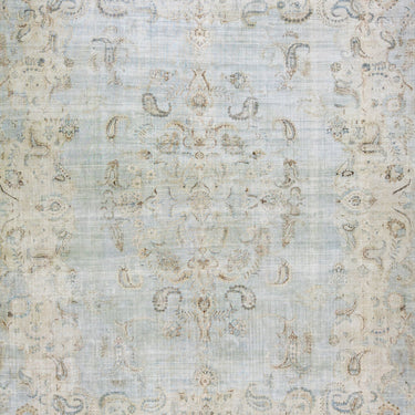 Overdyed 10240309