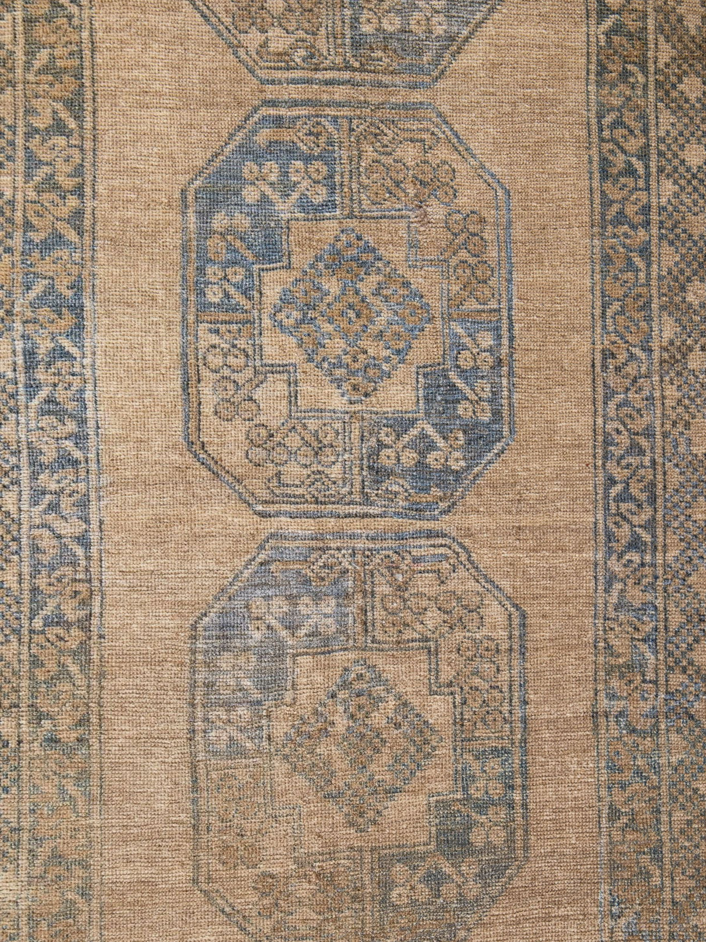 Turkmen 10241609