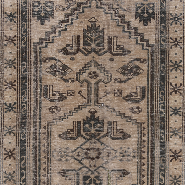 Persian 10243892