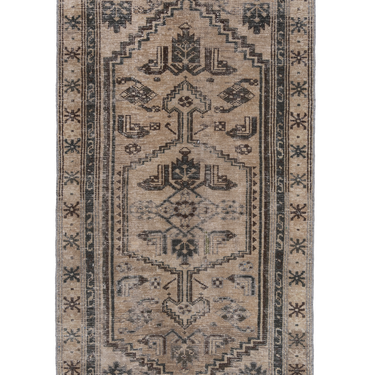 Persian 10243892