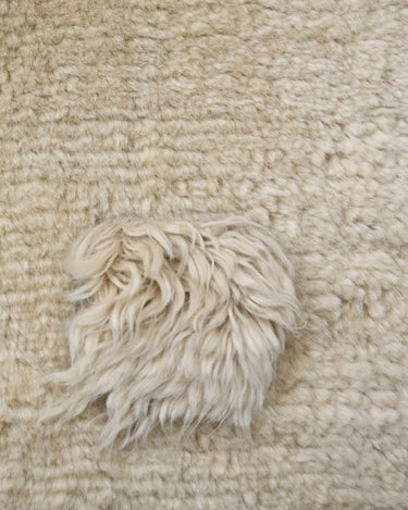 Sheered and shaggy texture