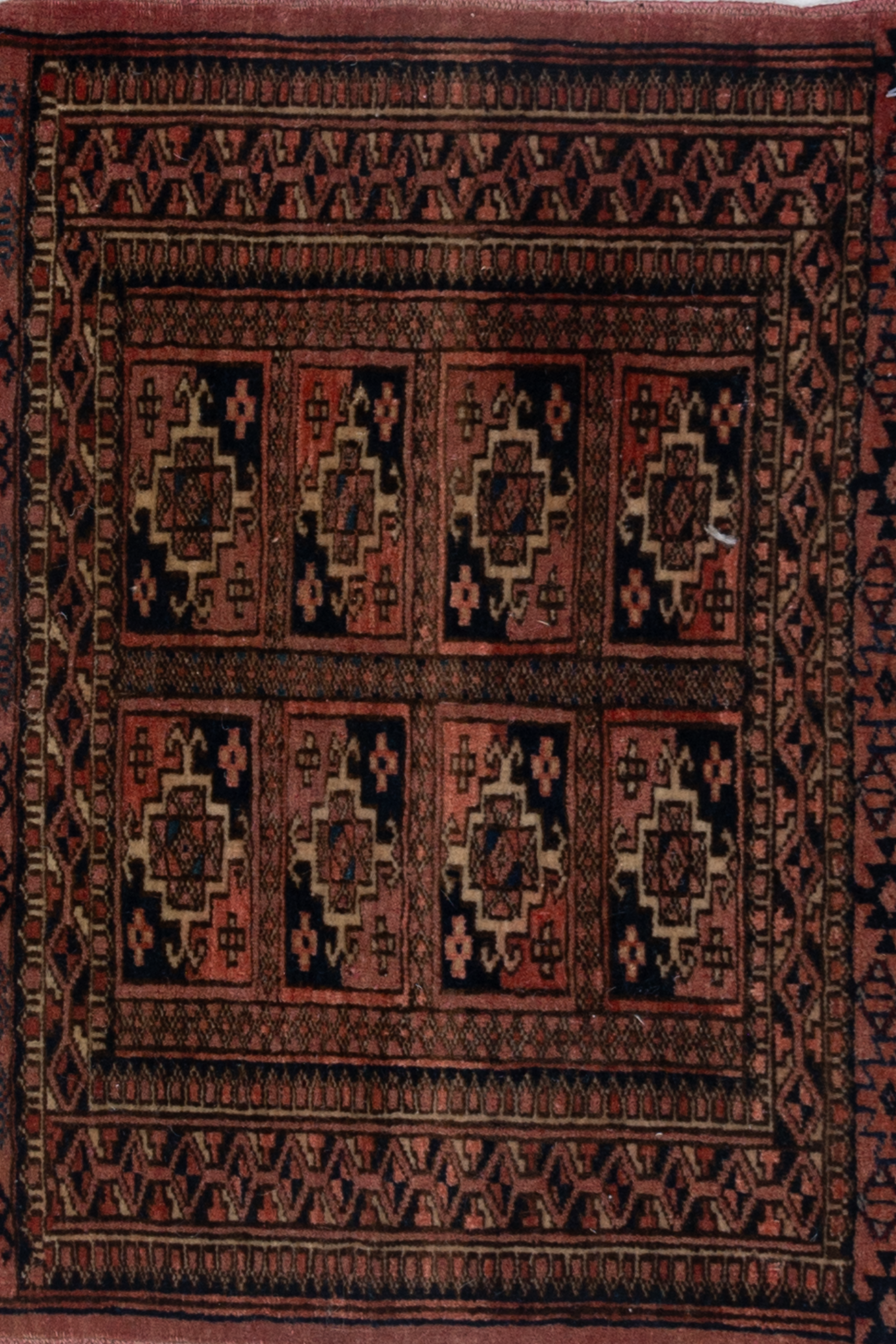 Baluch Y1313