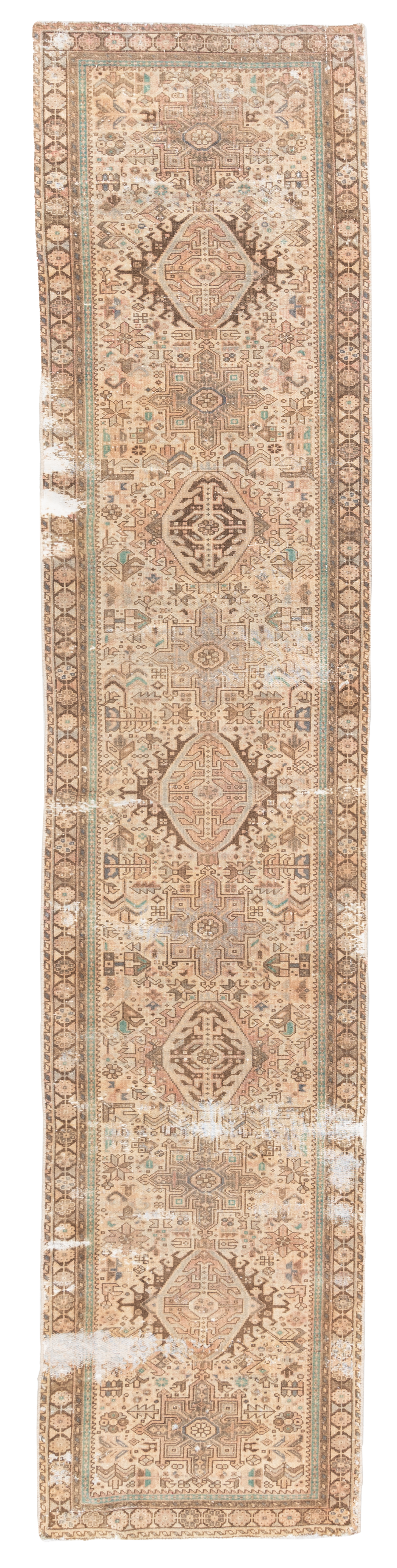 Persian 10238628