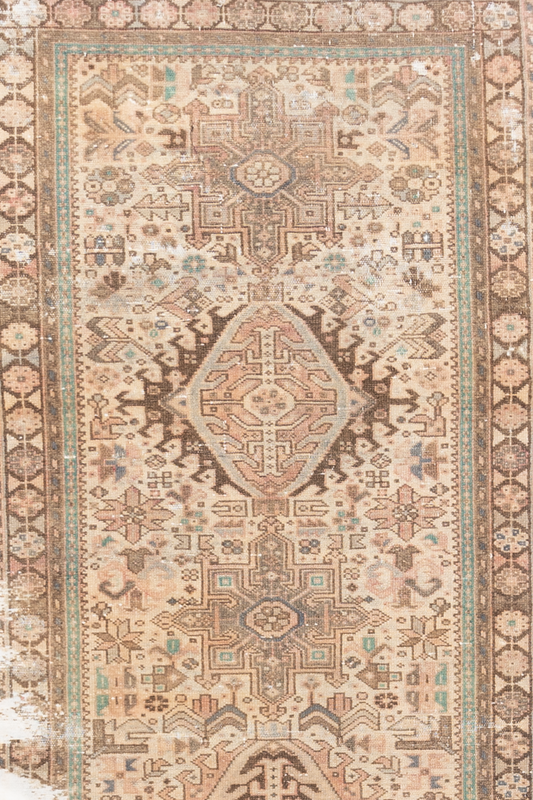 Persian 10238628