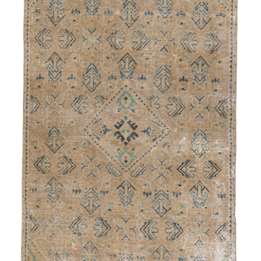 Anatolian 10237885