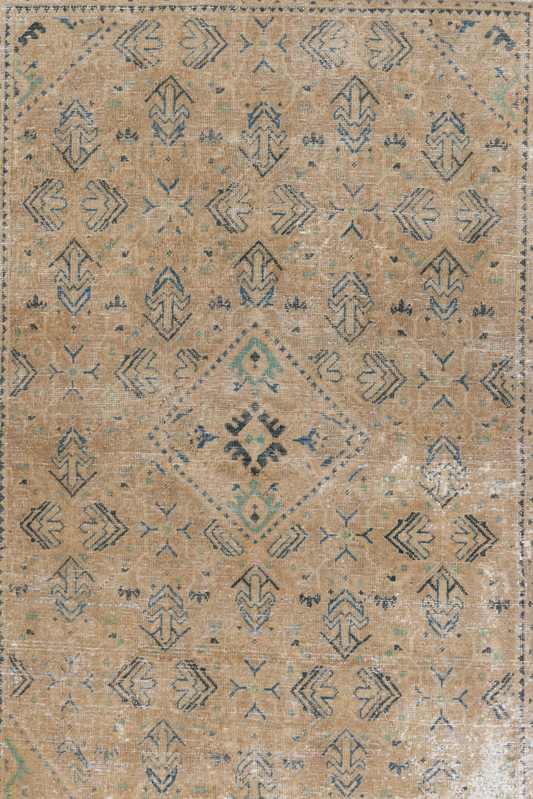 Anatolian 10237885