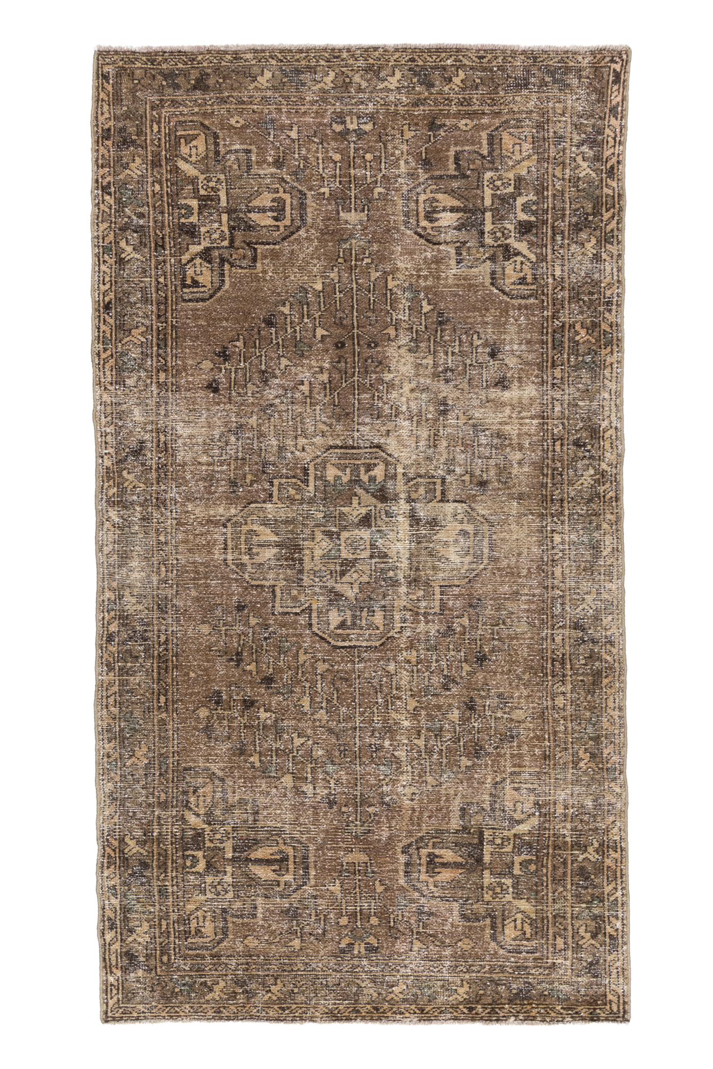Moroccan 10239416