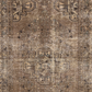 Moroccan 10239416