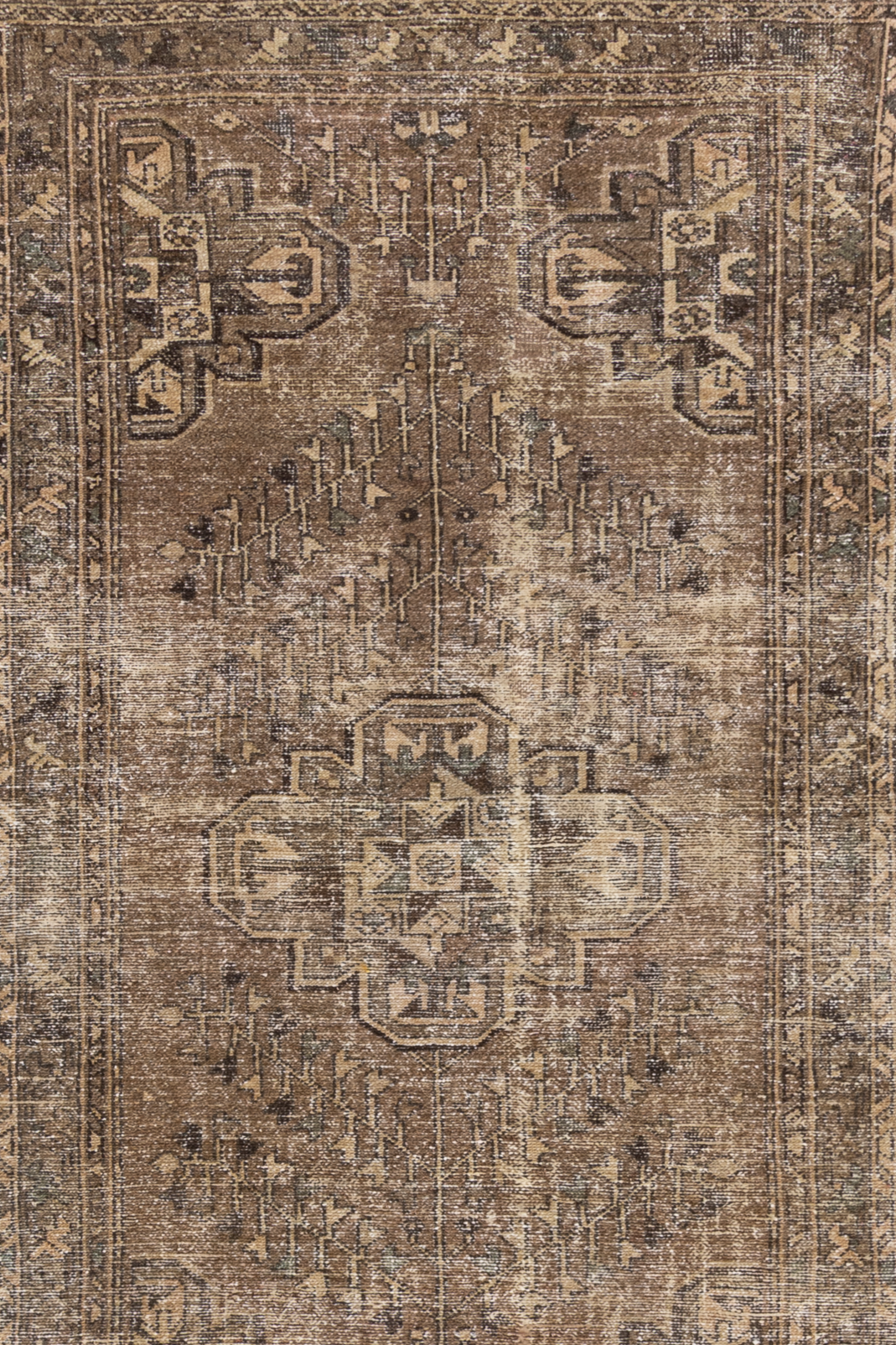 Moroccan 10239416