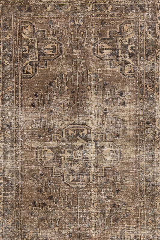 Moroccan 10239416