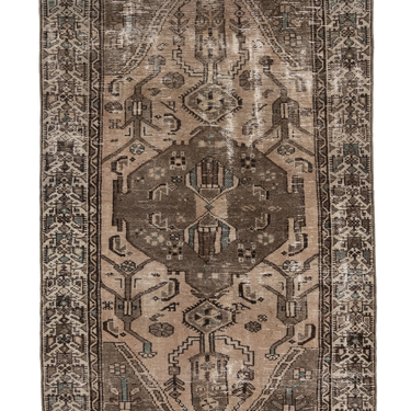 Persian 10237897
