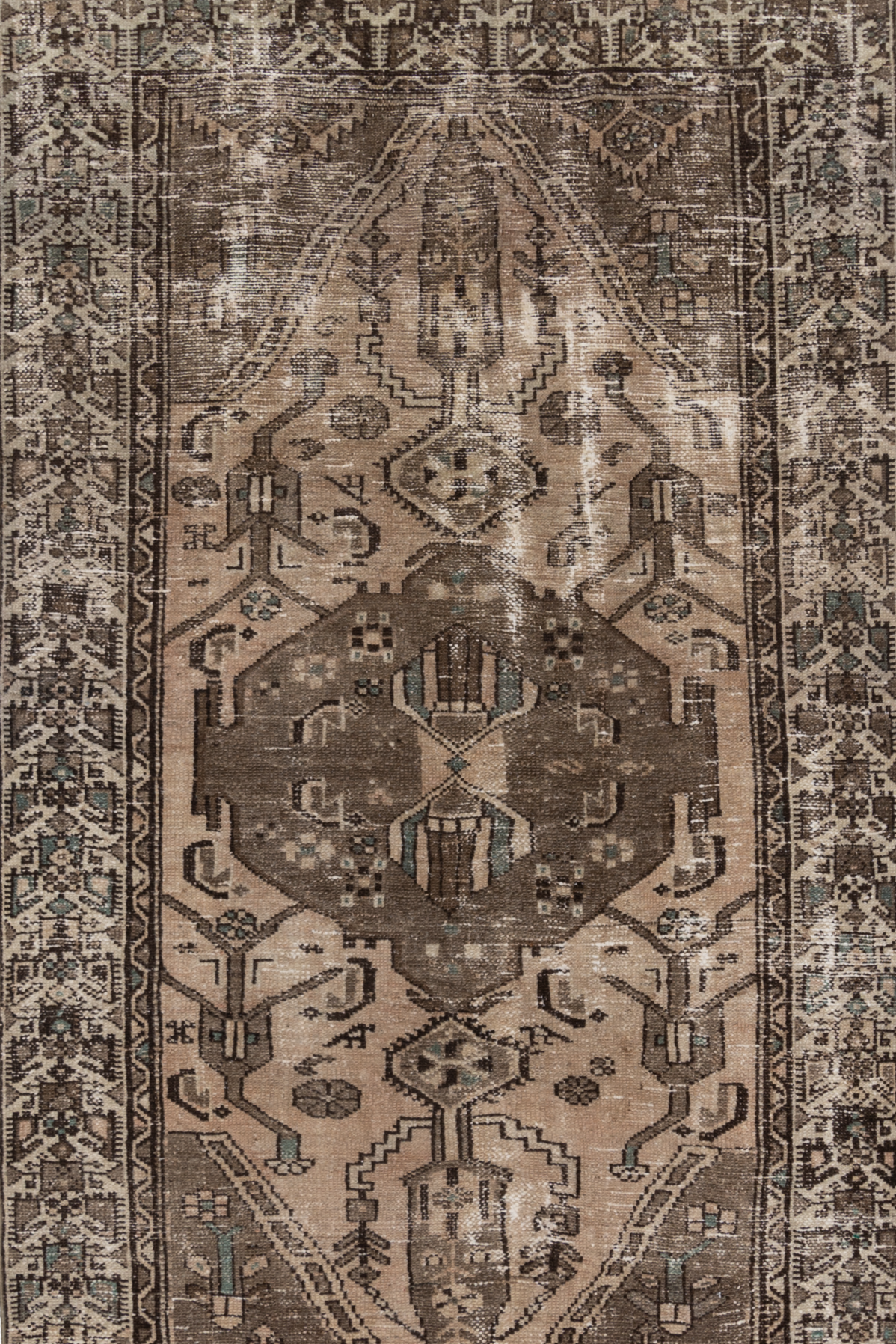 Persian 10237897