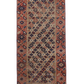 Caucasian R-AN623