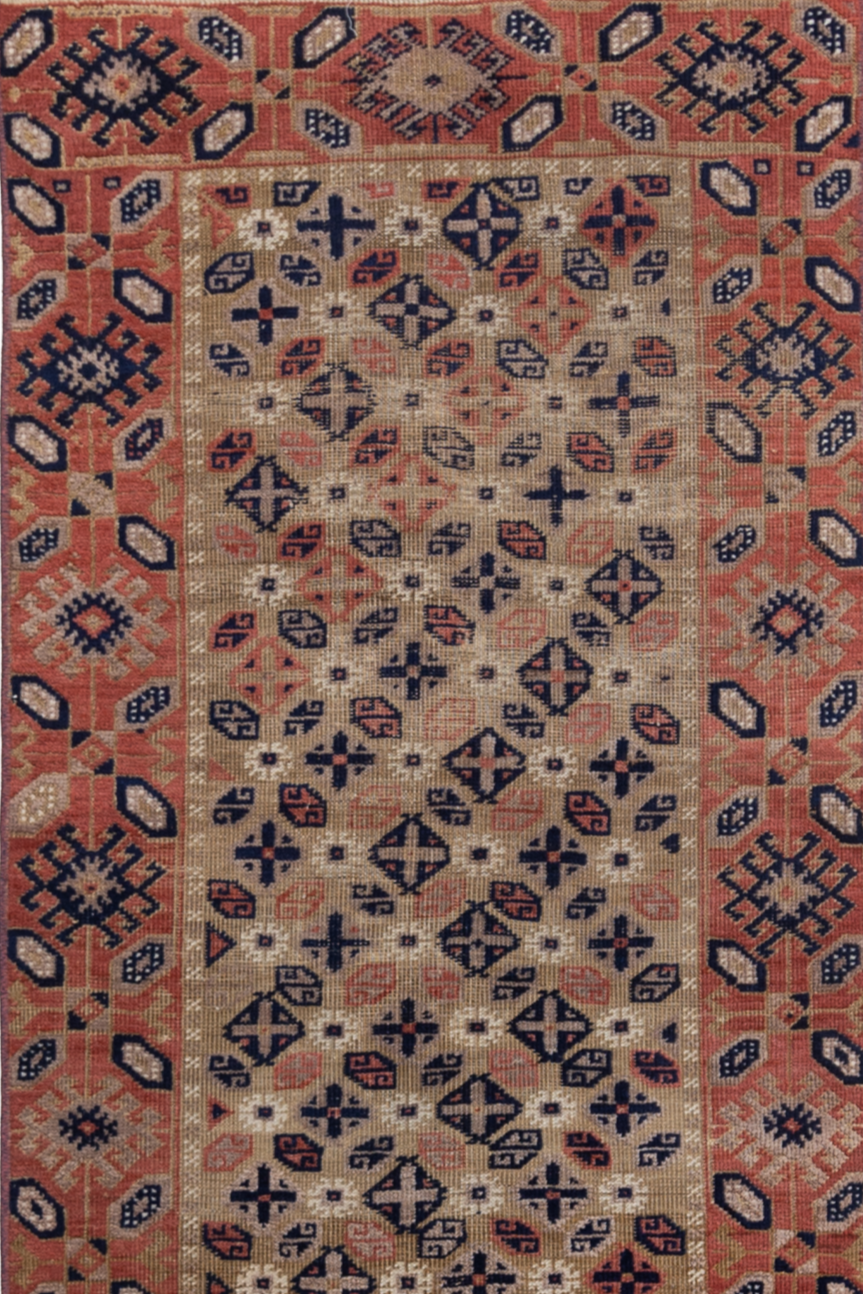 Caucasian R-AN623