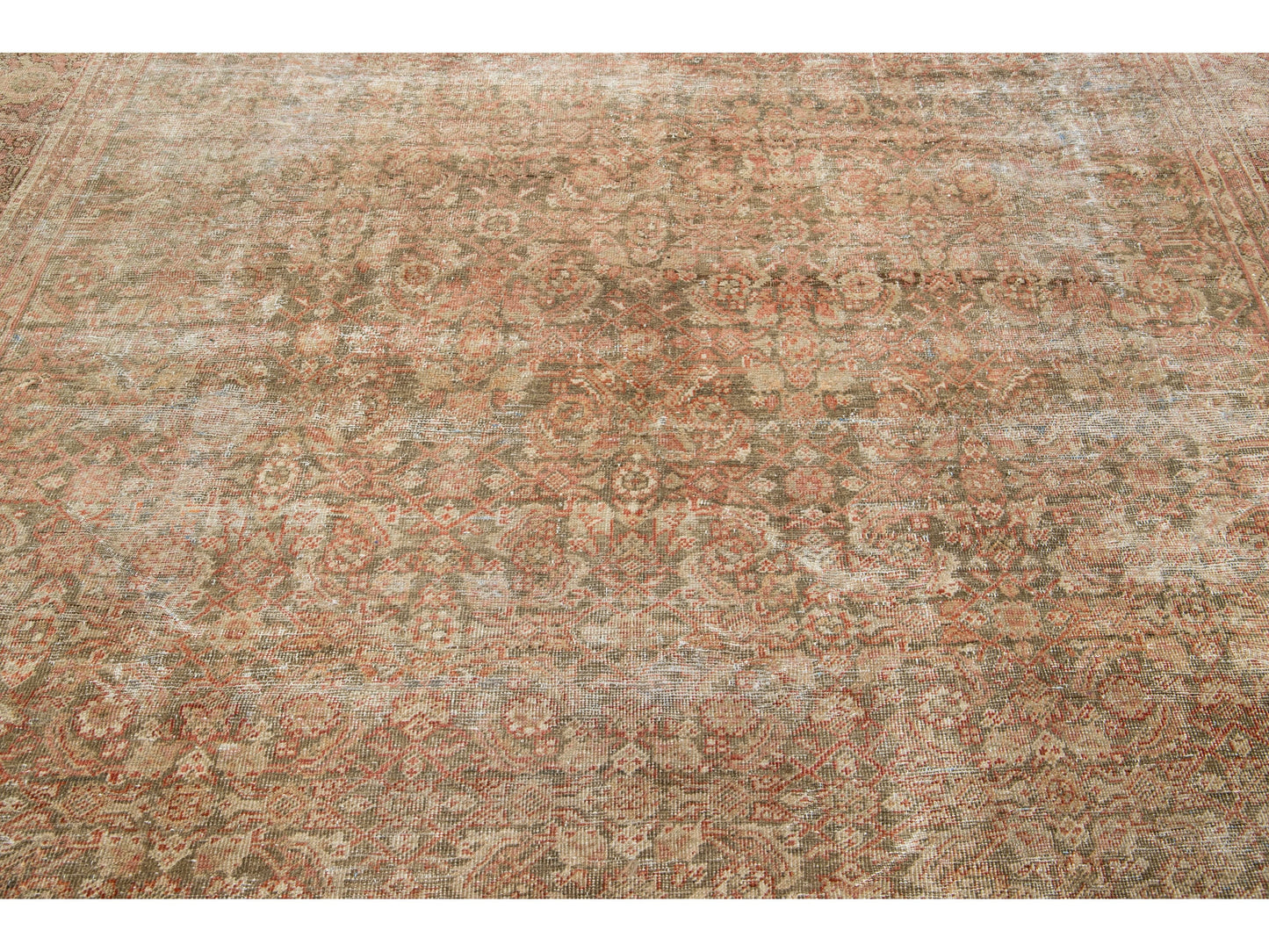 Tabriz 10243177