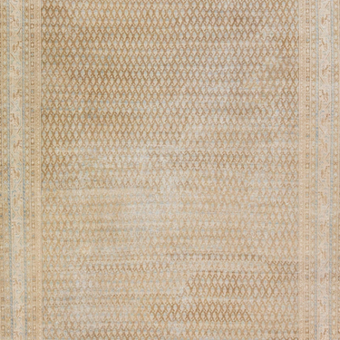 Antique Hamadan Wool Rug 8 X 12