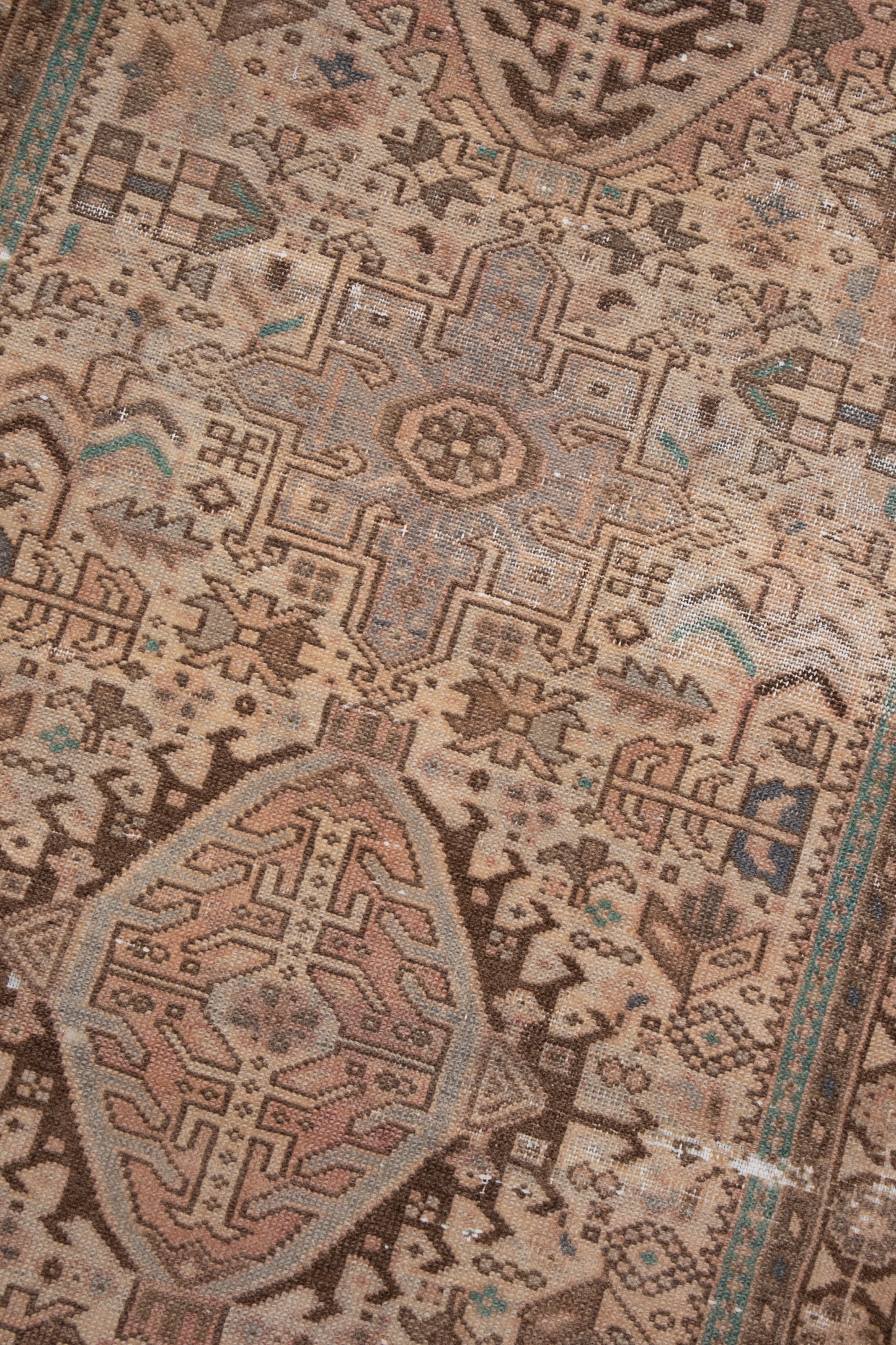 Persian 10238628