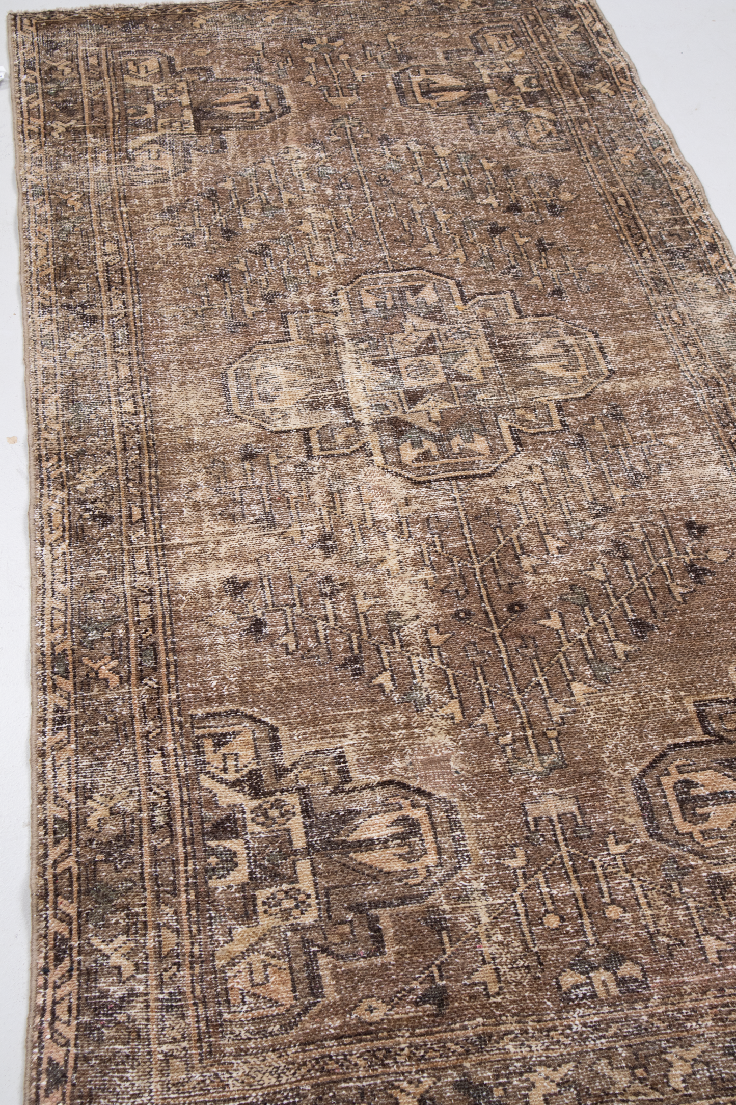 Moroccan 10239416