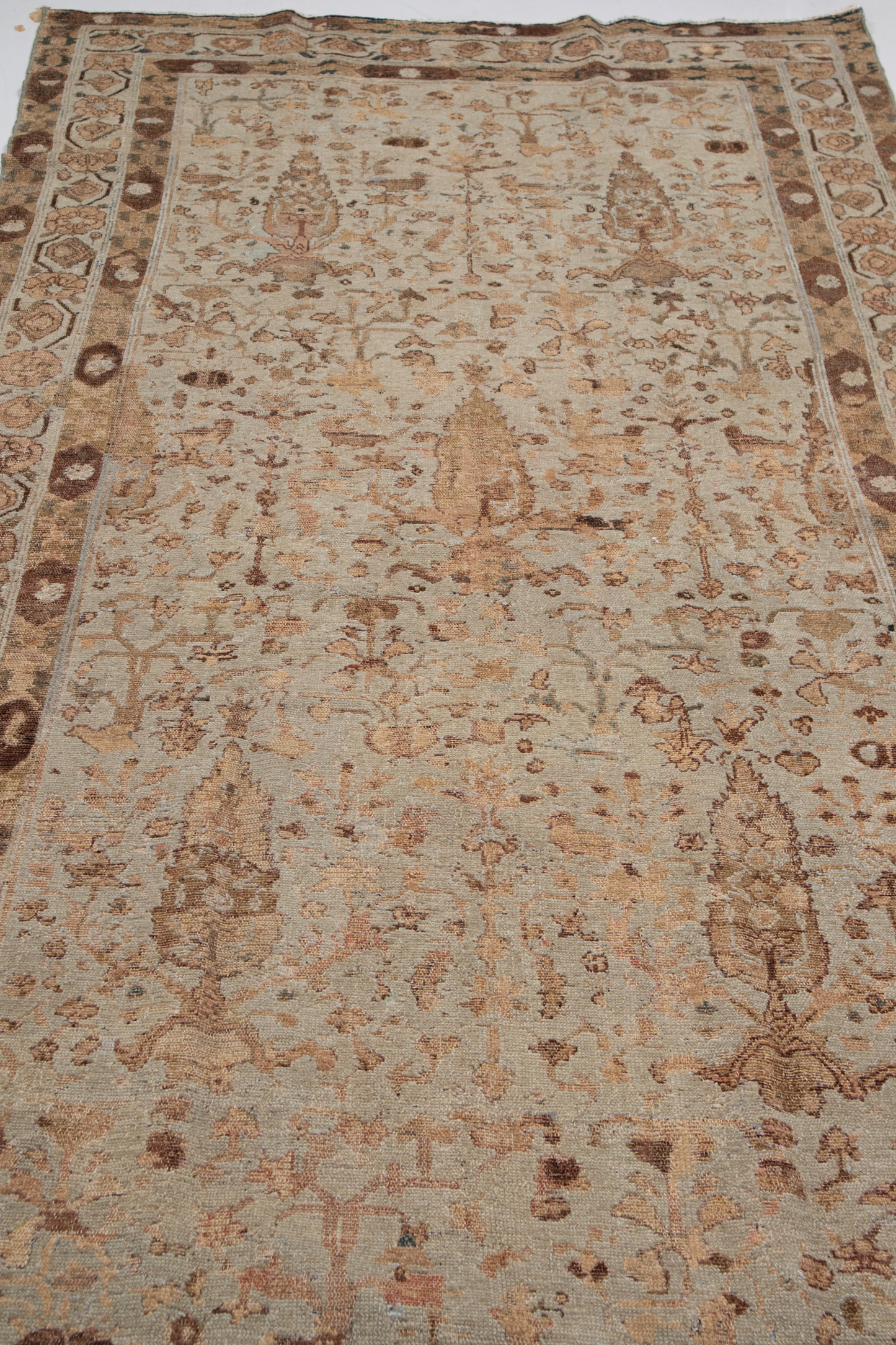 Persian R2696
