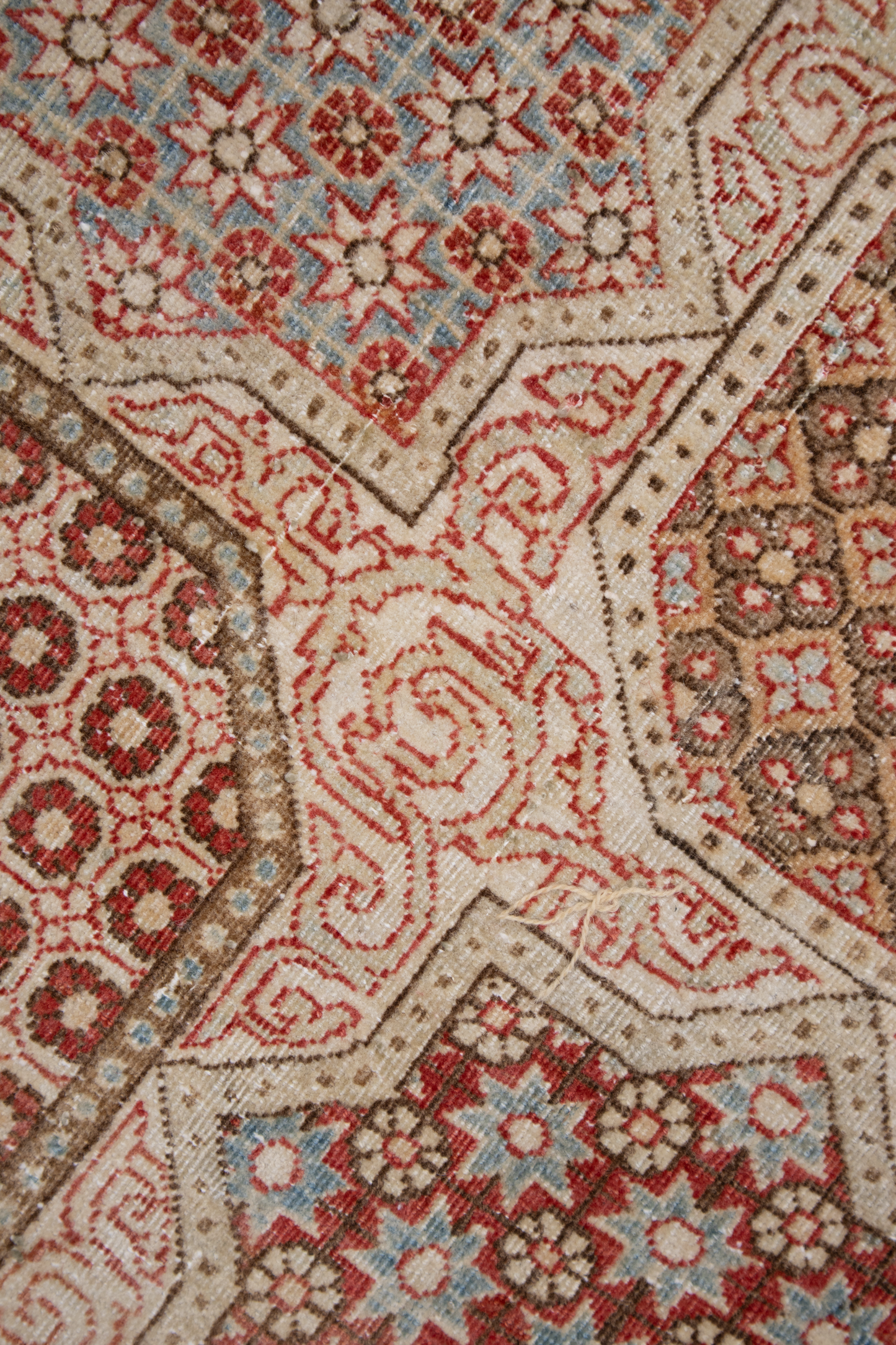 Persian L-AS5026