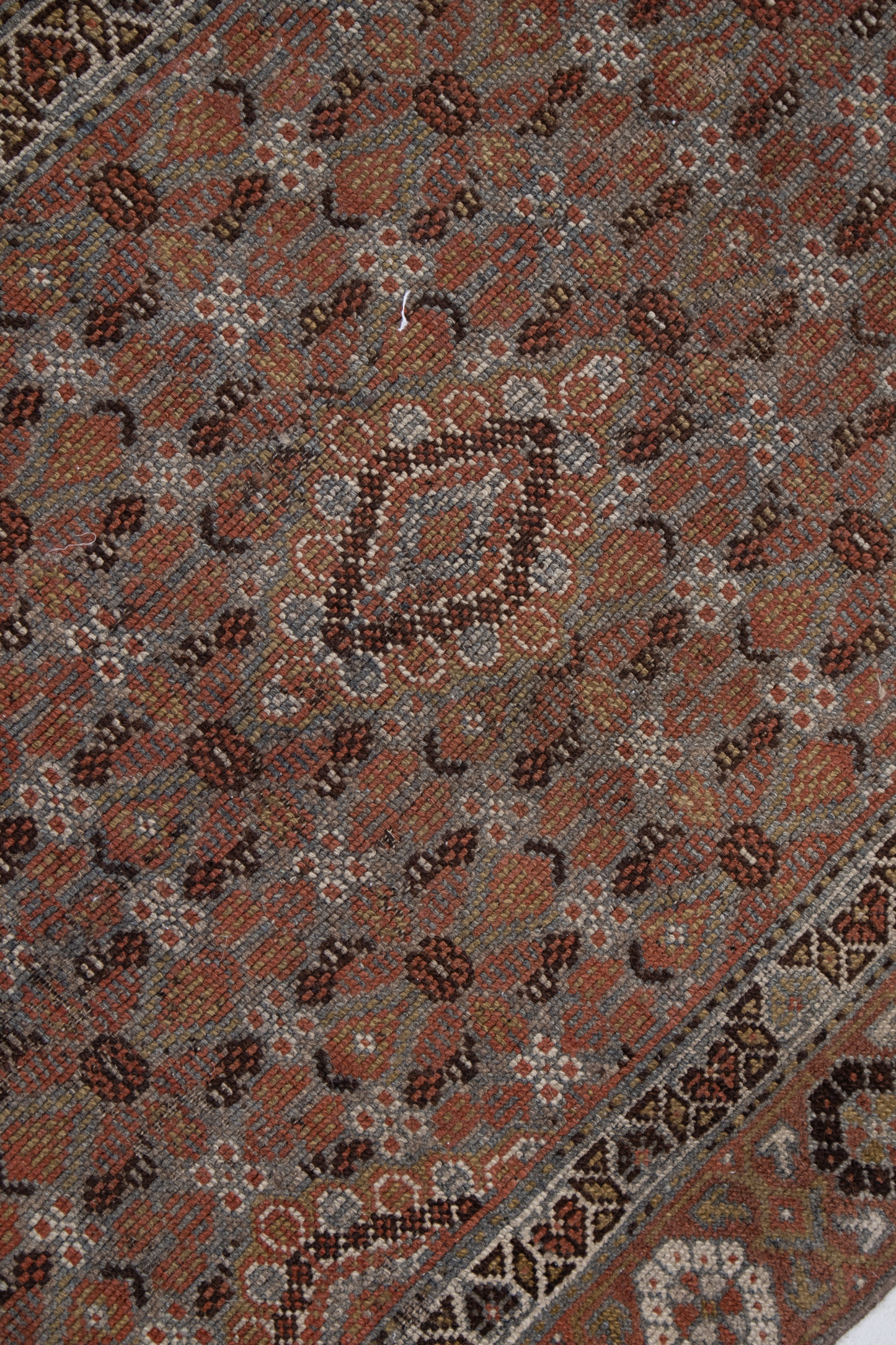 Persian R-1002