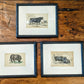 Set of three lithographs hand. Coloured cattle