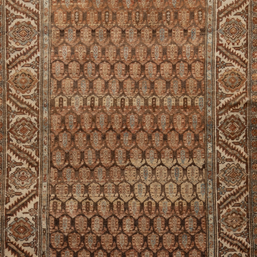 Persian Malayer  R2498