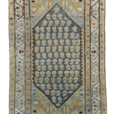 Malayer S2642