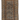 Caucasian Y2584