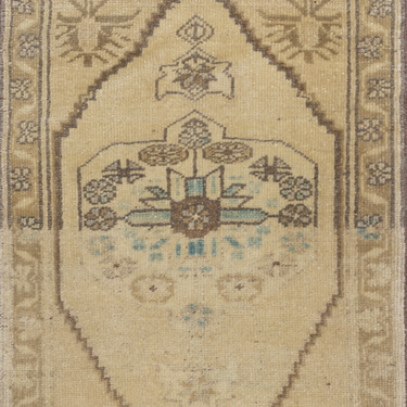 Turkish Y2647