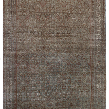 Malayer  L1664
