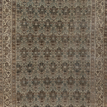 Persian Bachtiari  M2095