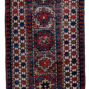 Caucasian R1595