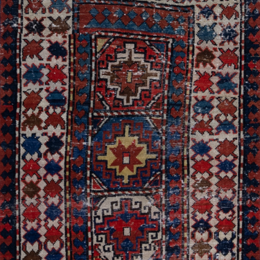 Caucasian R1595