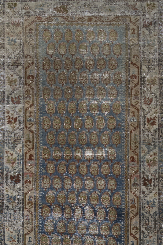 (Reserved)  Persian Malayer   R889