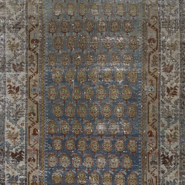 (Reserved)  Persian Malayer   R889