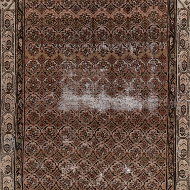 Persian Malayer  S2306