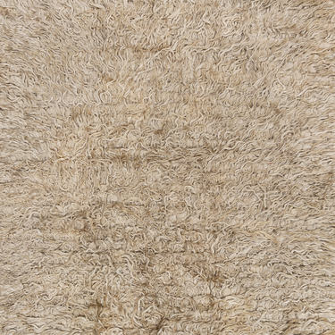 Turkish Tulu Shag  S2372