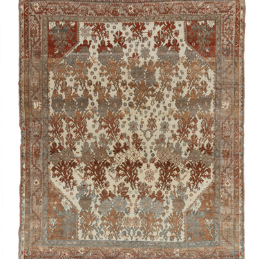 Malayer S2429