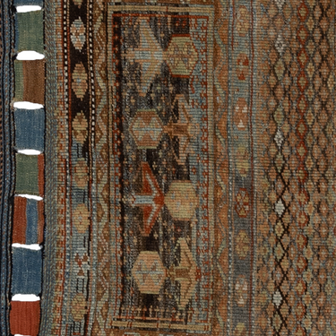 Kurdish Bagface  Y002